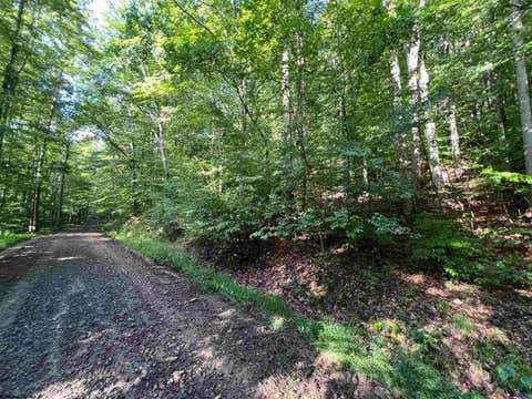 Photo of TBD Fallen Timber Road, Ireland, WV 26376 (MLS # 10166513)