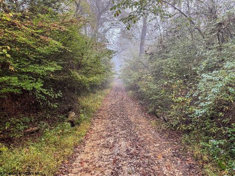 Photo of TBD Pickhandle Hill Road, Morgantown, WV 26501 (MLS # 10161871)