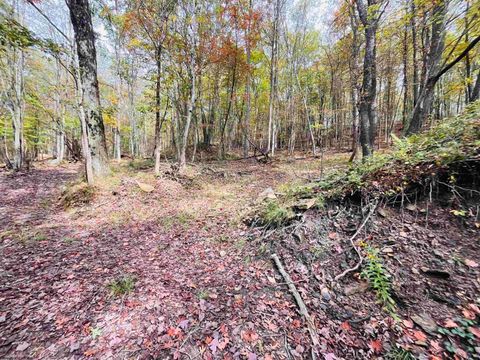 Photo of 33213 Veterans Memorial Highway, Terra Alta, WV 26764 (MLS # 10161773)