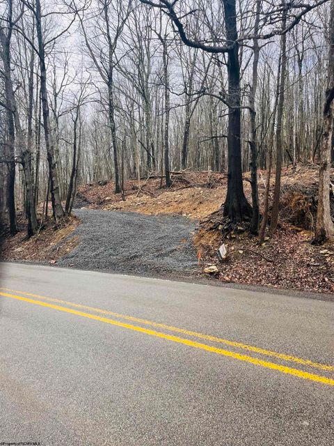 Photo of 33213 Veterans Memorial Highway, Terra Alta, WV 26764 (MLS # 10161773)