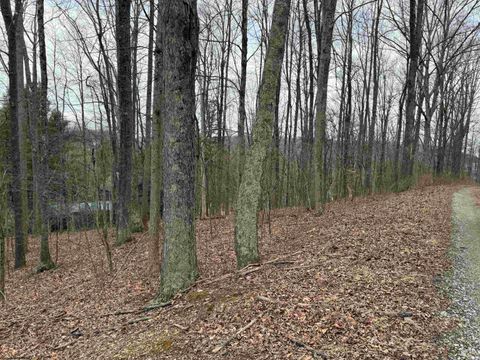 Photo of TBD Elliott Avenue, Belington, WV 26250 (MLS # 10163404)