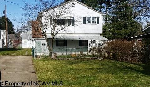 Photo of 133 CAMDEN Avenue, Buckhannon, WV 26201 (MLS # 10162206)