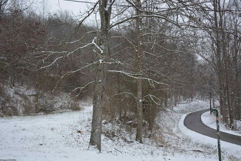 Photo of 0 Sand Fork Road, Roanoke, WV 26447 (MLS # 10162742)