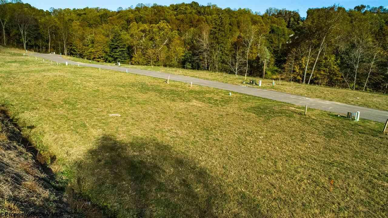 Photo 7 of 8 of 207 Farm Brook Lane land