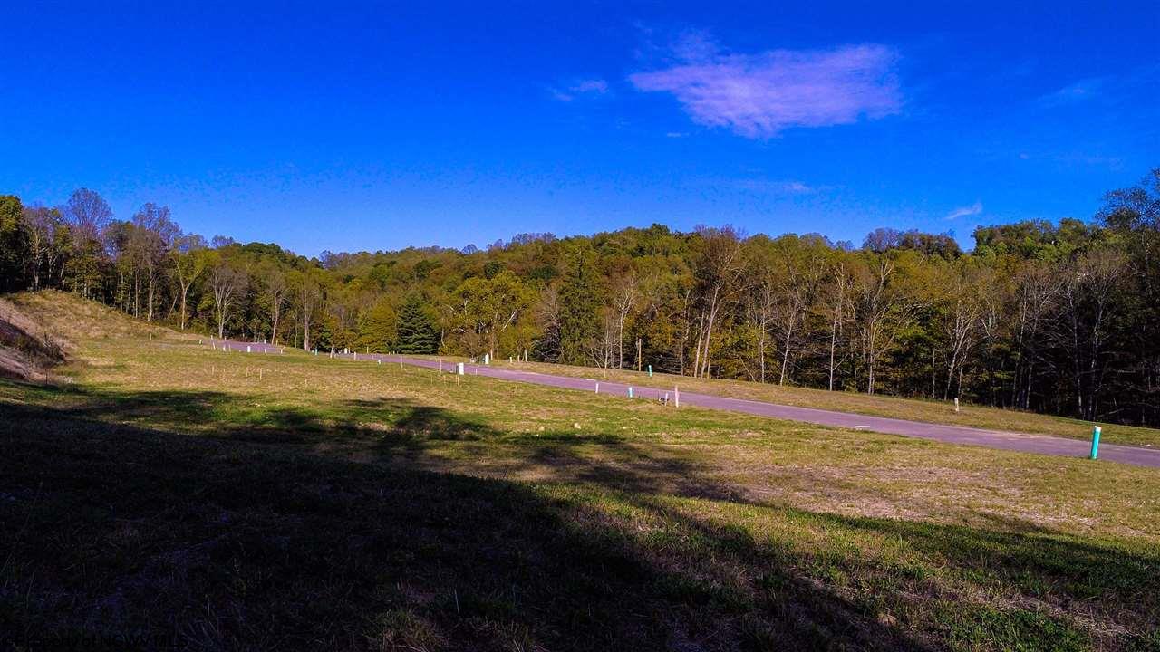 Photo 5 of 8 of 207 Farm Brook Lane land