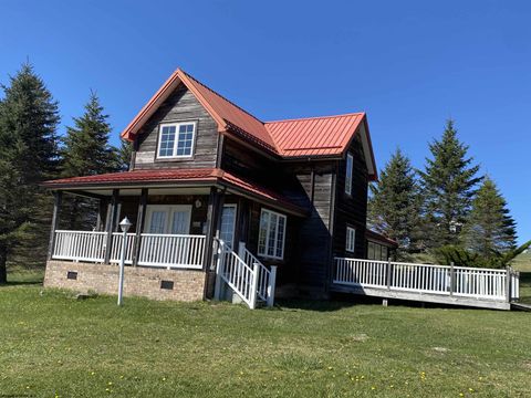 Photo of 19 Vista Circle, Davis, WV 26260 (MLS # 10164278)