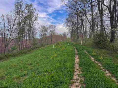 Photo of Lot 1 Low Gap Run Road, Littleton, WV 26581 (MLS # 10164389)