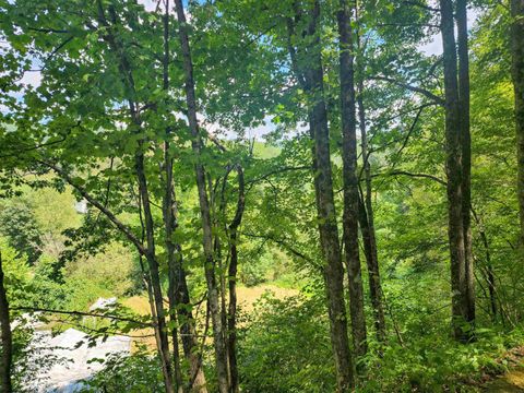 Photo of 166 Brown Road, Wallace, WV 26448 (MLS # 10161210)