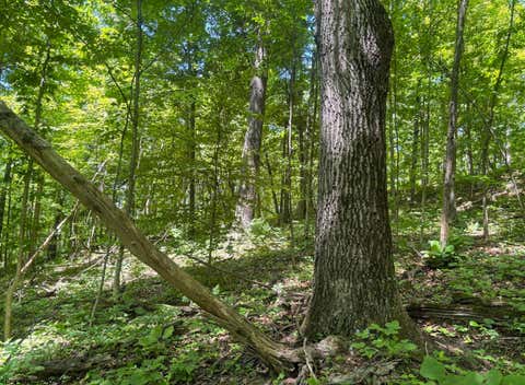 Photo of Lot 1 Ashland Ridge, Porters Falls, WV 26162 (MLS # 10165239)