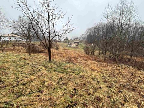 Photo of TBD Jonestown Mt Liberty Road, Philippi, WV 26416 (MLS # 10163569)