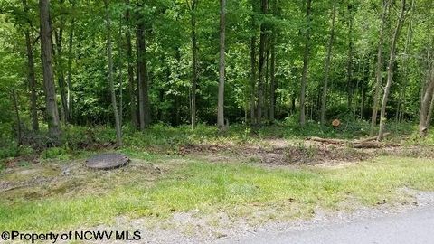 Photo of 209 Woodside Lane, Bridgeport, WV 26330 (MLS # 10114686)