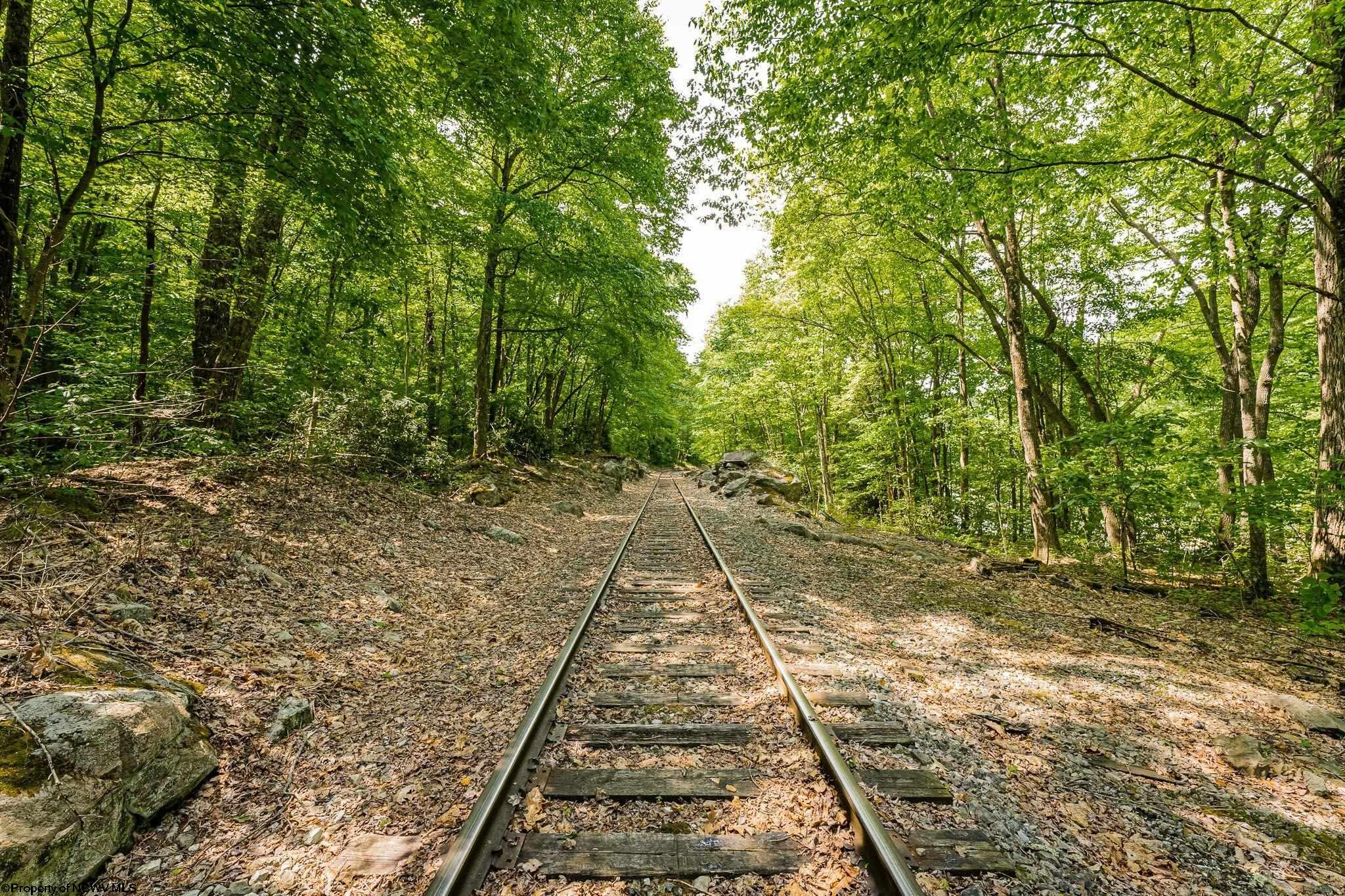 Belington, West Virginia 26250, United States, ,Land,Active,73941