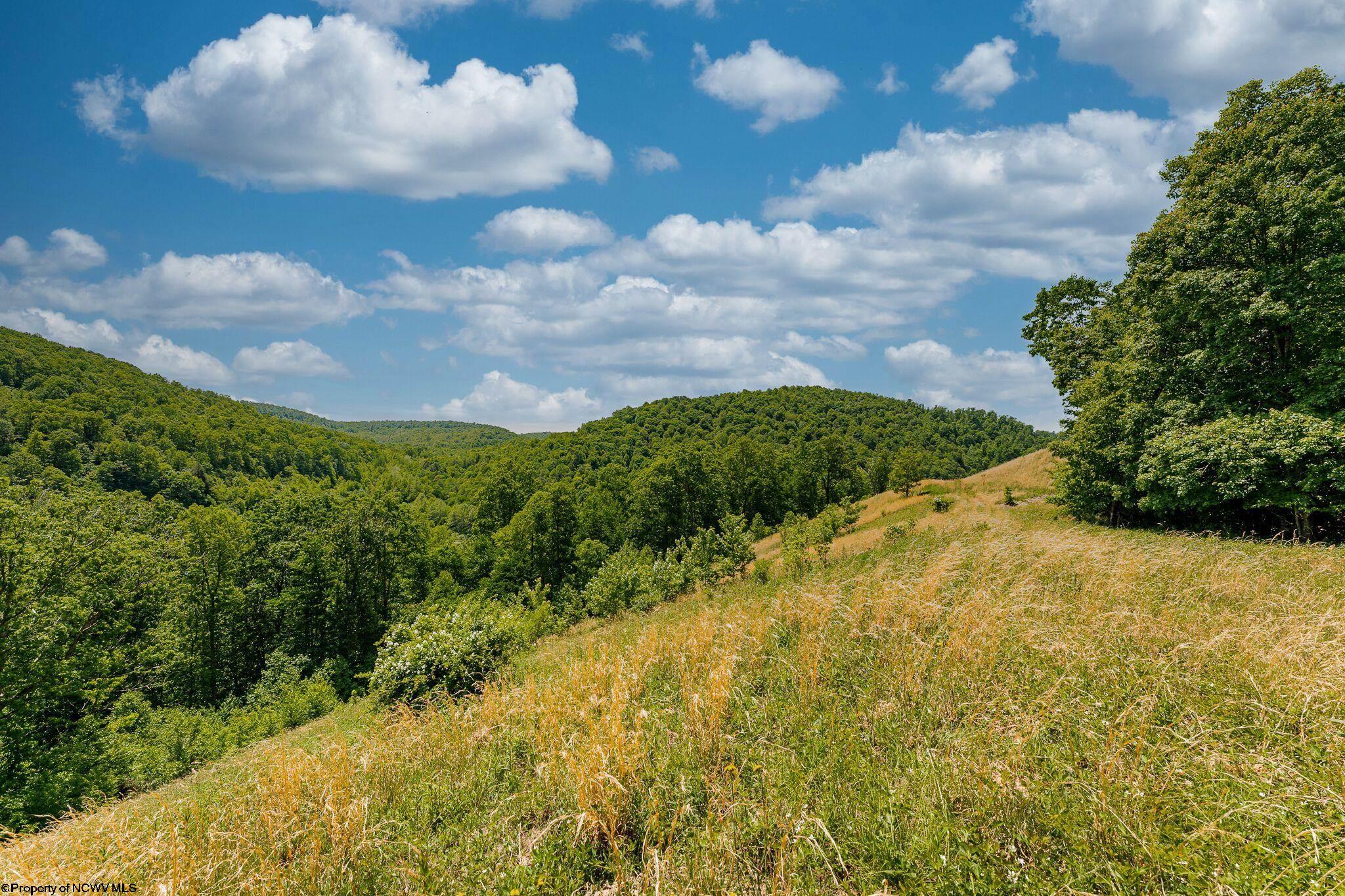 Belington, West Virginia 26250, United States, ,Land,Active,73941