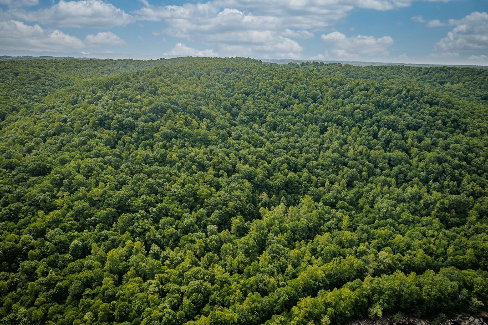 Belington, West Virginia 26250, United States, ,Land,Active,73941