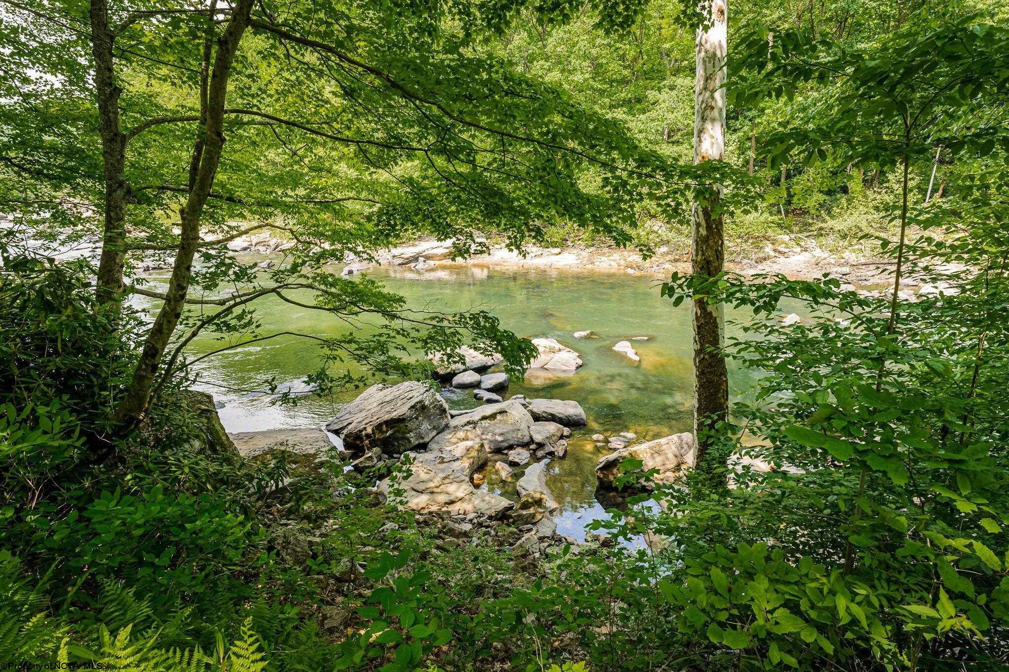 Belington, West Virginia 26250, United States, ,Land,Active,73941