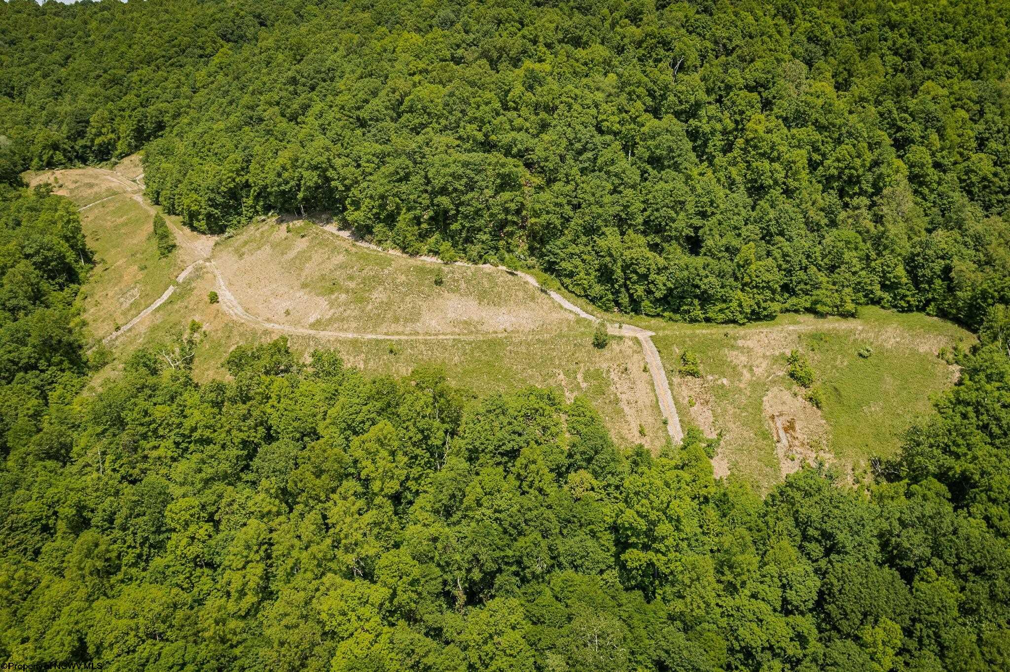 Belington, West Virginia 26250, United States, ,Land,Active,73941