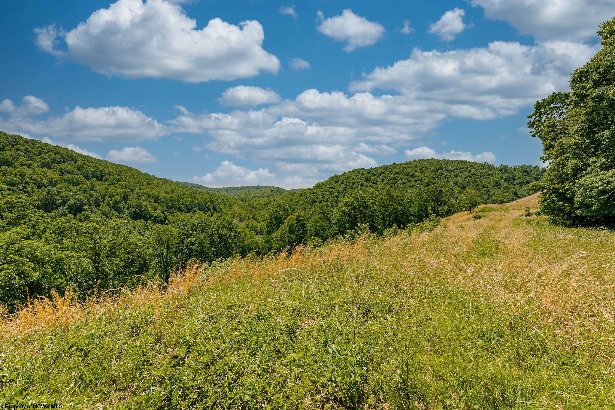 Belington, West Virginia 26250, United States, ,Land,Active,73941