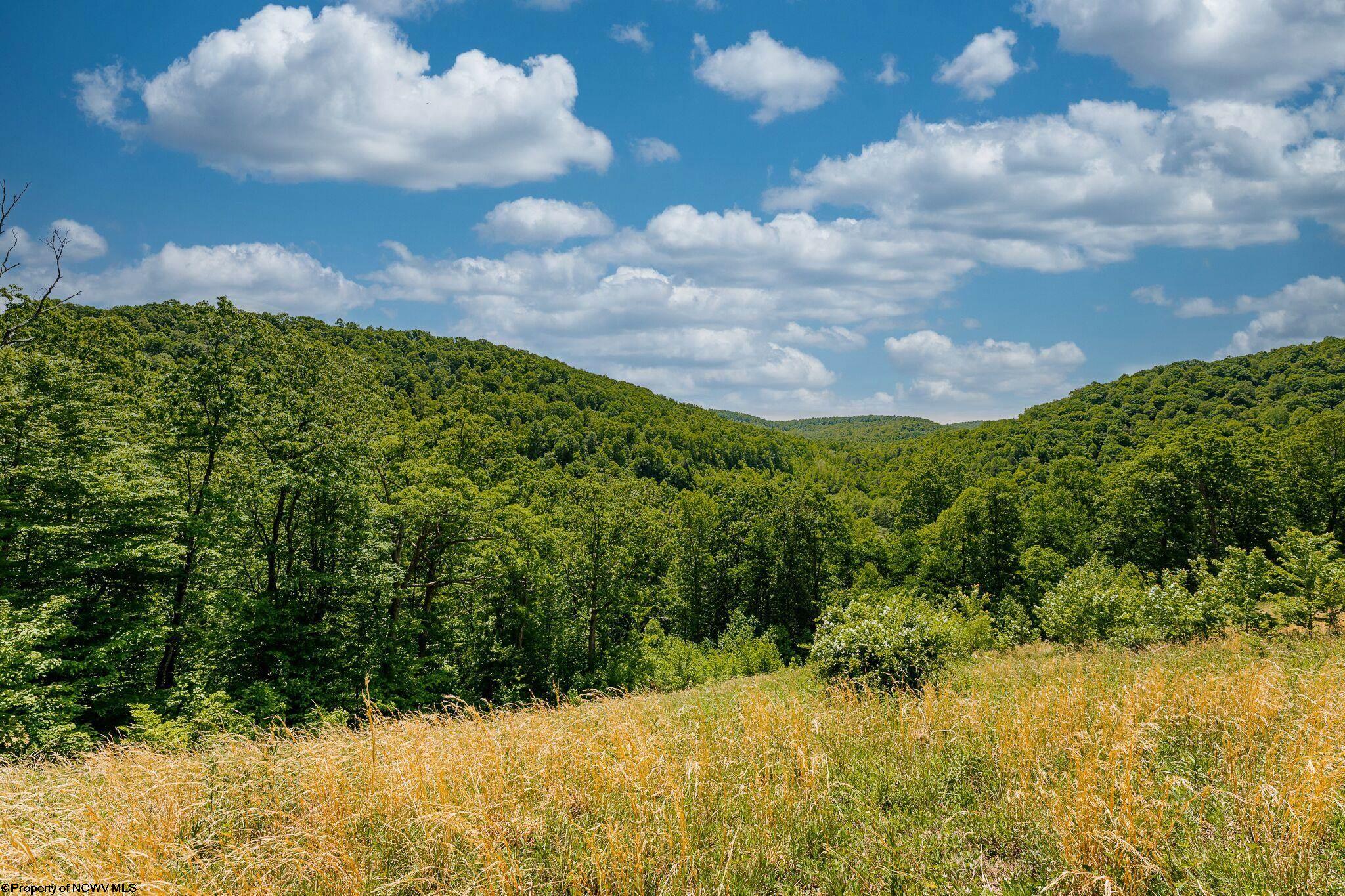 Belington, West Virginia 26250, United States, ,Land,Active,73941