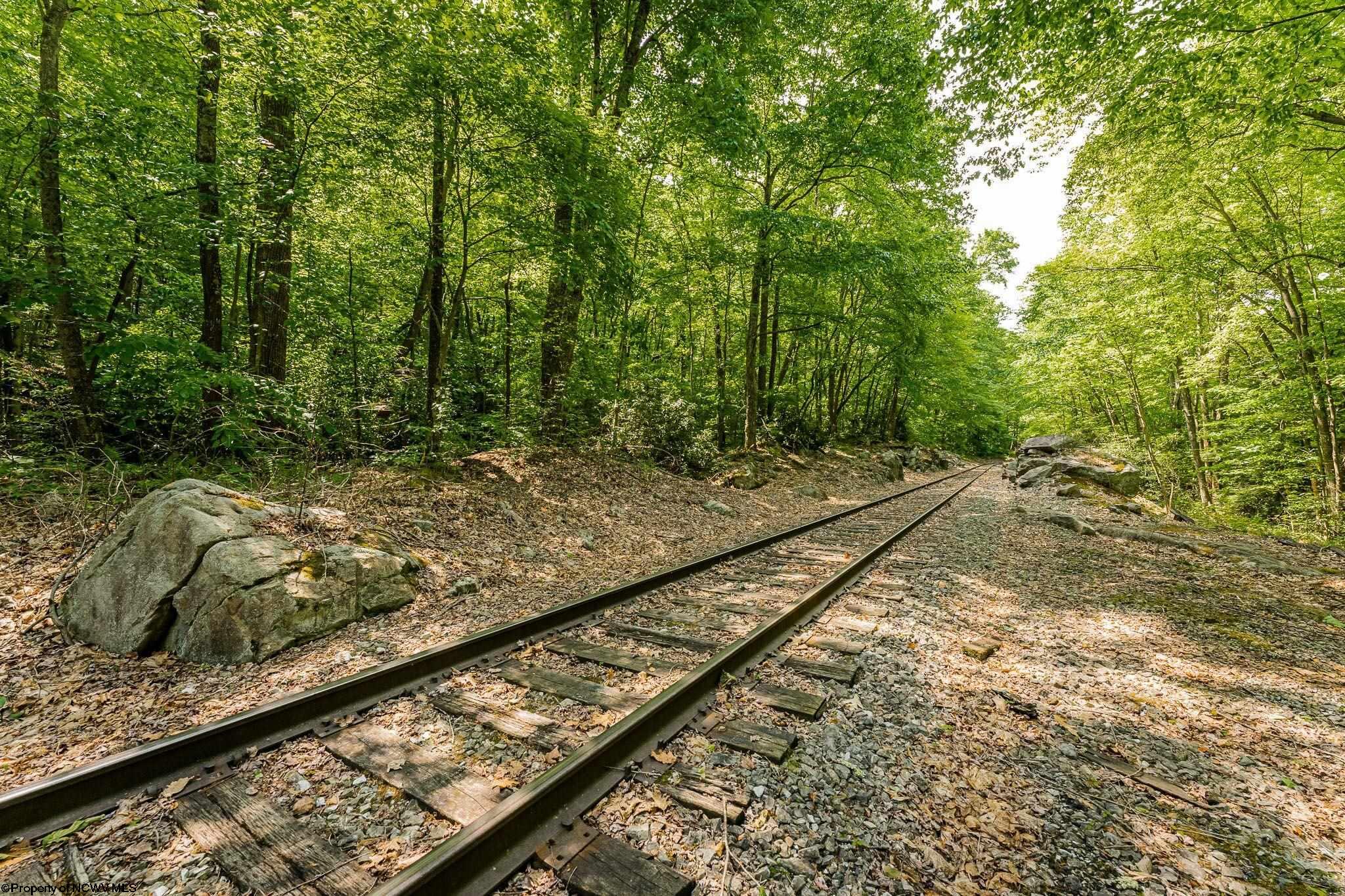 Belington, West Virginia 26250, United States, ,Land,Active,73941