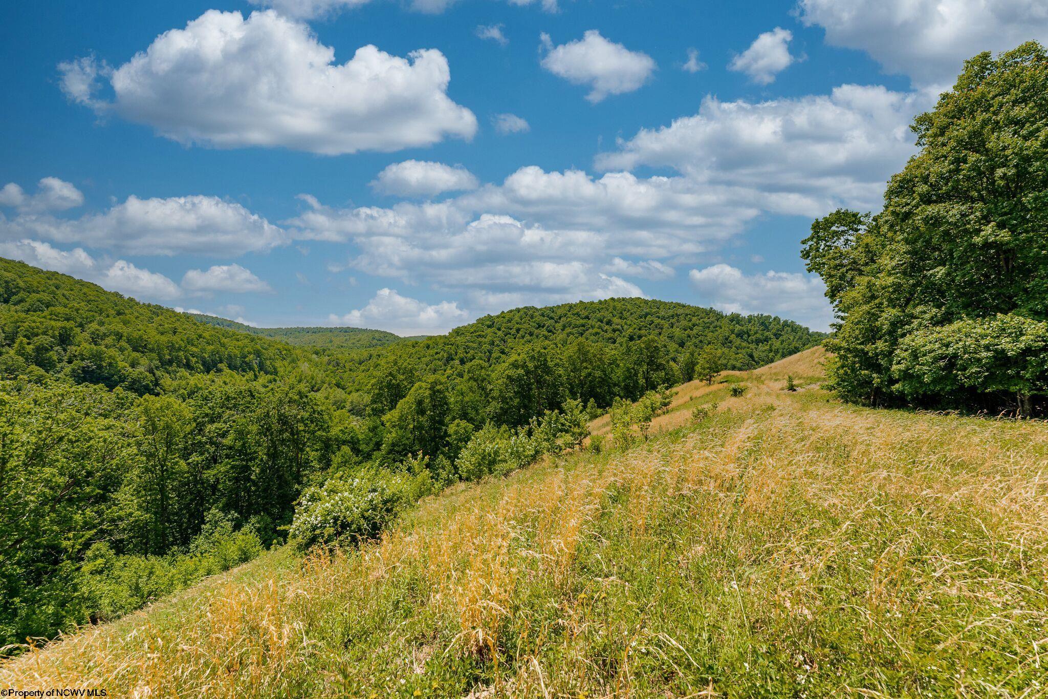 Belington, West Virginia 26250, United States, ,Land,Active,73941