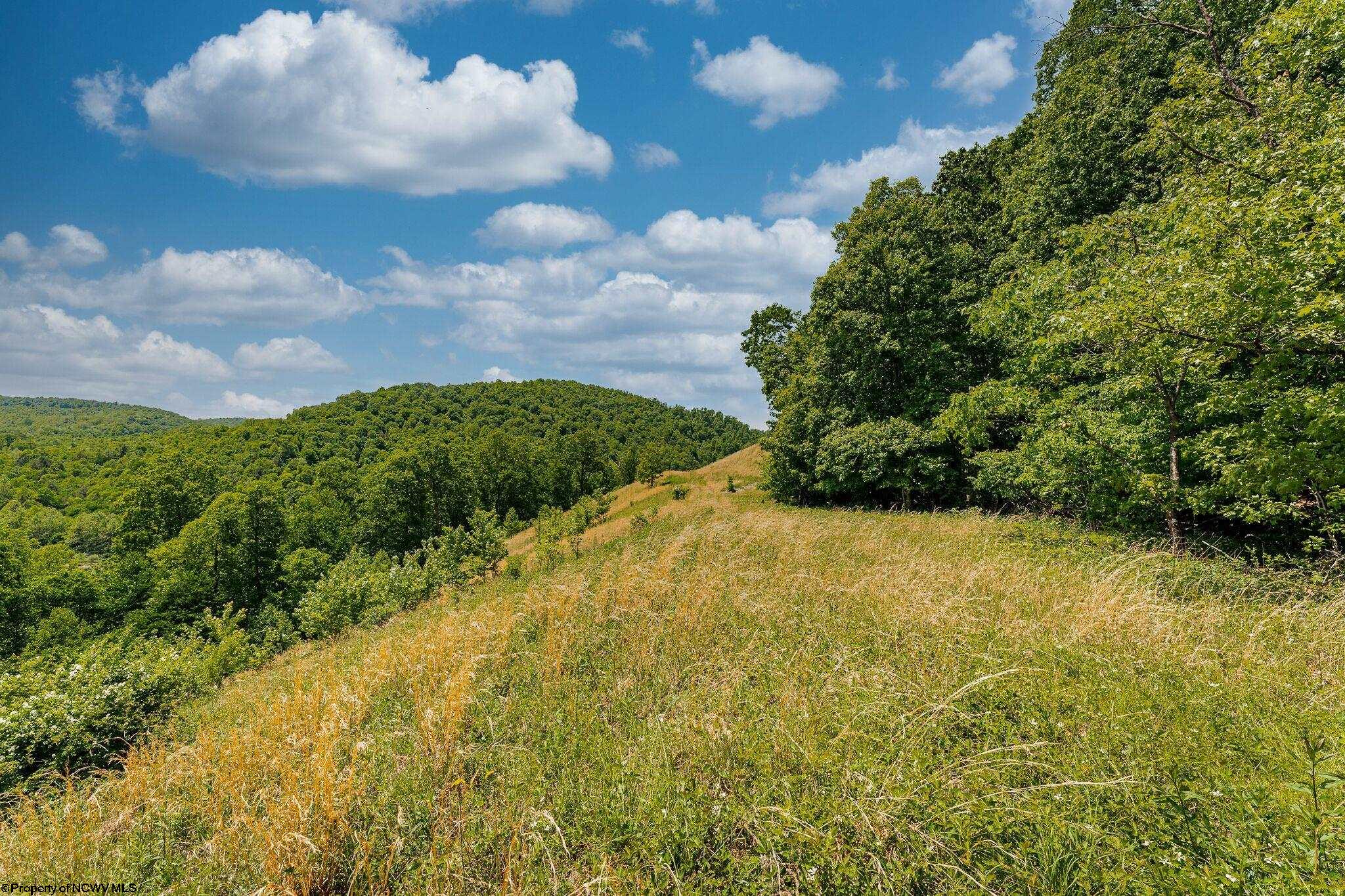 Belington, West Virginia 26250, United States, ,Land,Active,73941