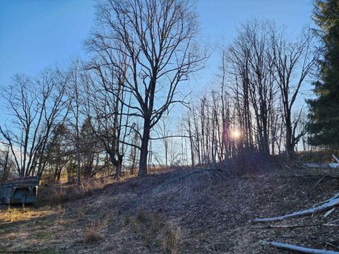 Photo of 169 Wilma Lee Memorial Drive, Bowden, WV 26254 (MLS # 10163424)