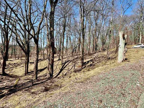 Photo of 0 Bluebird Drive, Terra Alta, WV 26764 (MLS # 10158935)