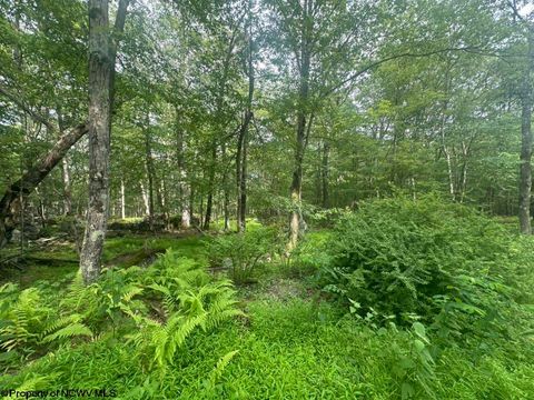 Photo of 88 Goldenrod Drive Lot 88 Alpine Section, Terra Alta, WV 26764 (MLS # 10160720)