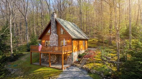 Photo of 4502 Hileman Road, Bruceton Mills, WV 26525 (MLS # 10164643)
