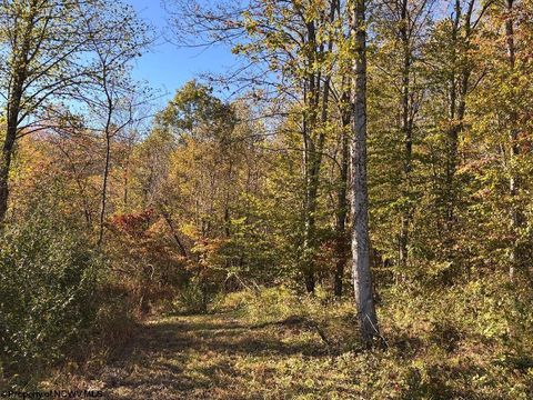 Photo of LOT 22 Island Road, Junior, WV 26275 (MLS # 10162108)