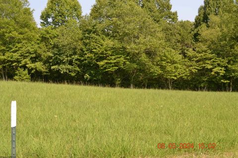 Photo of 000 Hawk's View Lane, Napier, WV 26631 (MLS # 10155688)