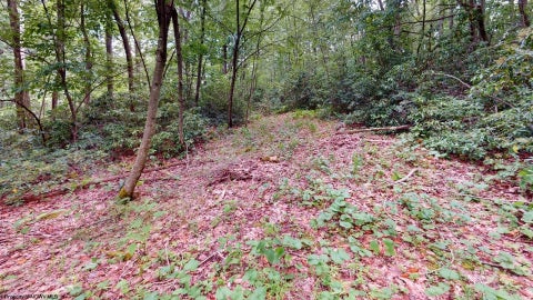 Photo of LOT 103 Redwood Drive, Terra Alta, WV 26764 (MLS # 10165278)