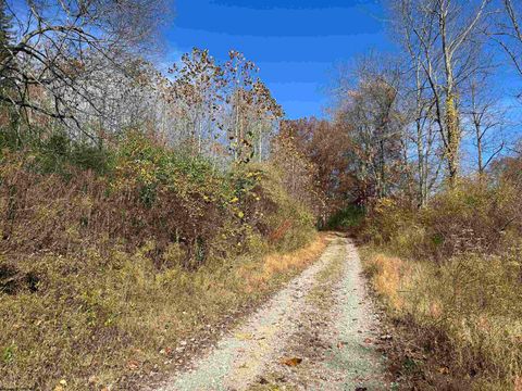 Photo of TBD Pyles Avenue, Mannington, WV 26582 (MLS # 10162377)