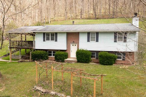 Photo of 761 Zeb Haught Road, Wadestown, WV 26590 (MLS # 10164317)