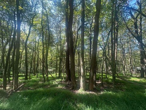 Photo of lot 70 Clover Drive Lot 70 Innsbruck, Terra Alta, WV 26764 (MLS # 10161494)