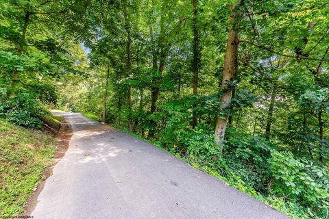 Photo of TBD Hodges Street, Morgantown, WV 26505 (MLS # 10161202)