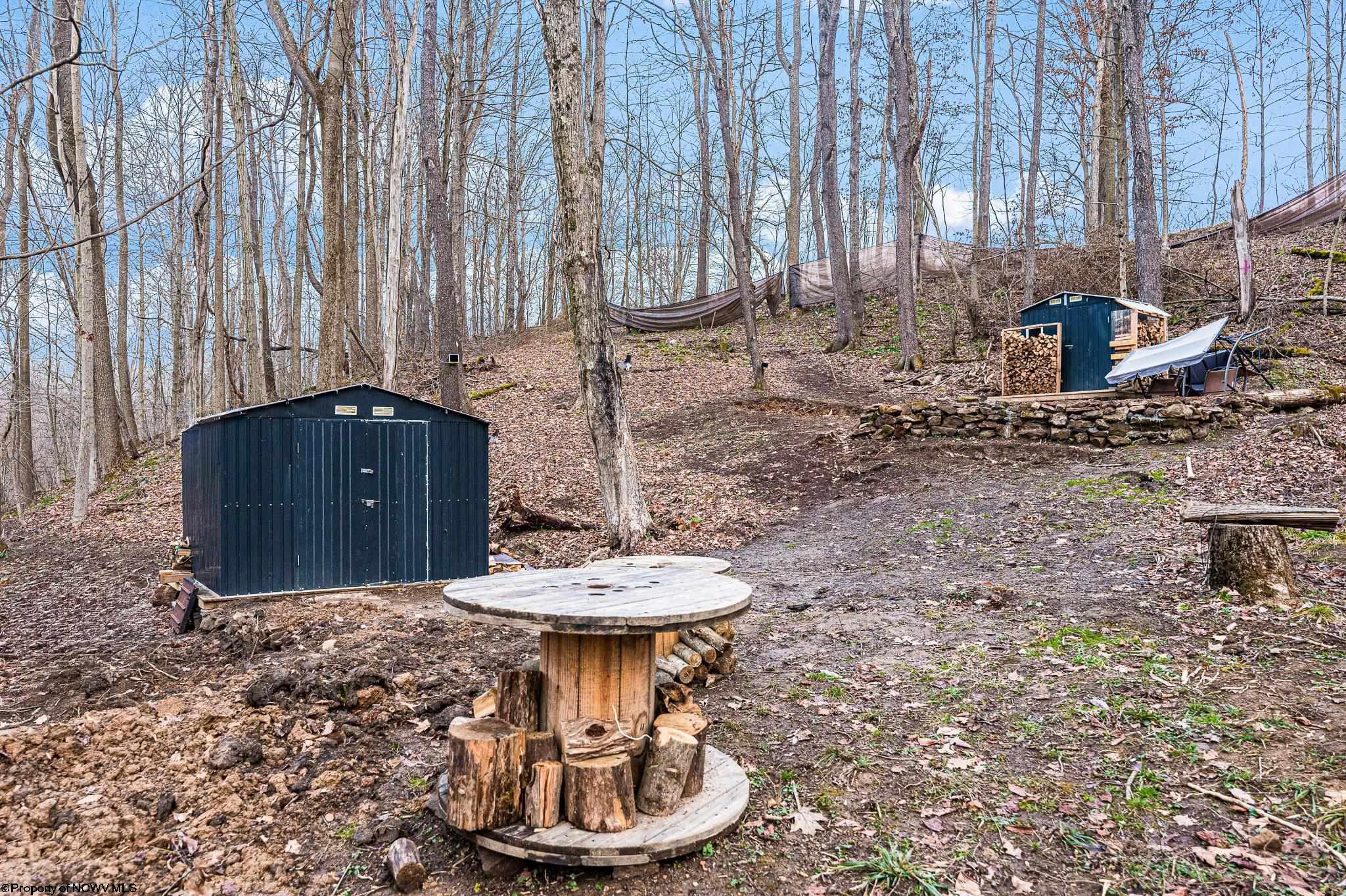 Albright, West Virginia 26519, United States, ,Land,Active,26721