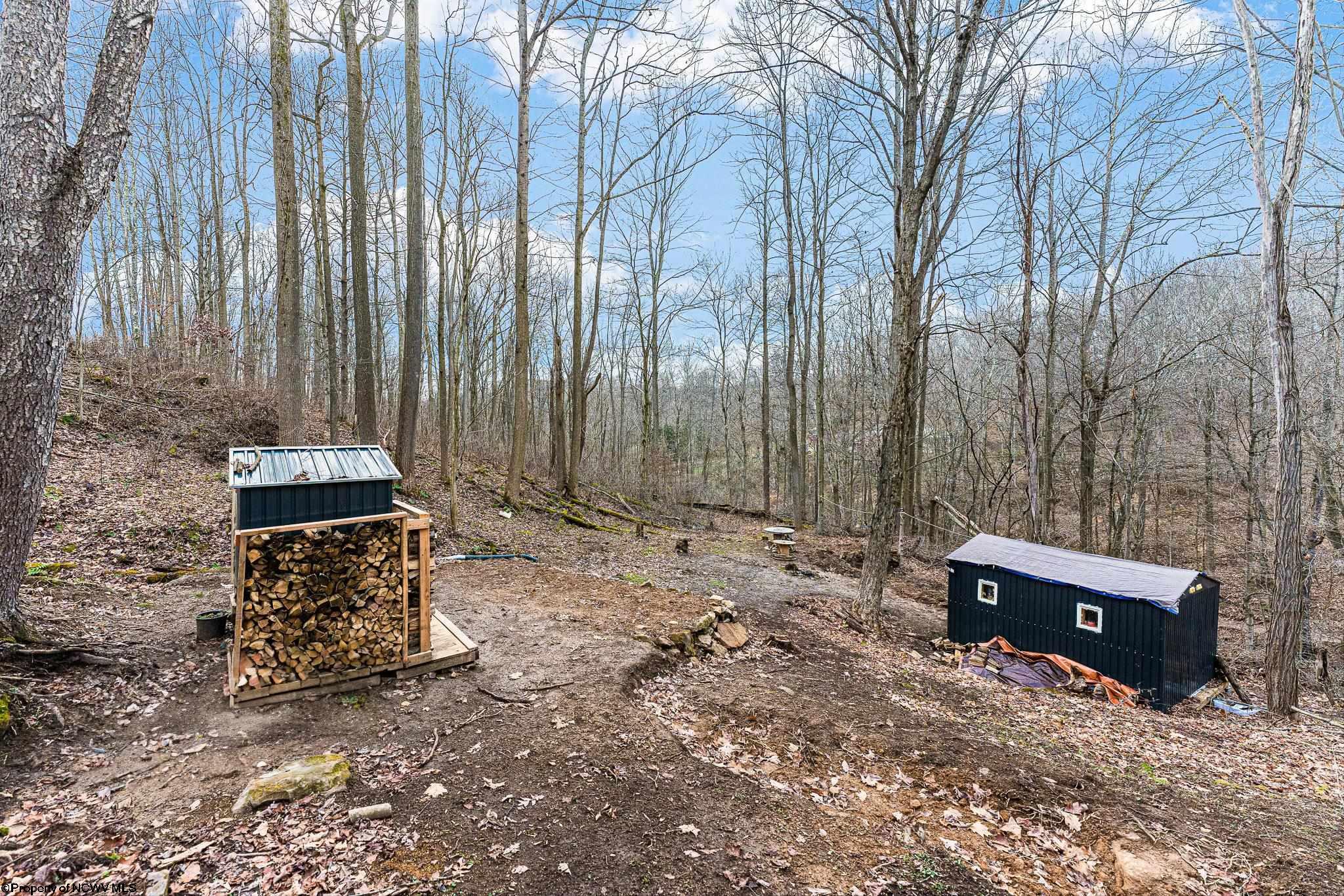 Albright, West Virginia 26519, United States, ,Land,Active,26721