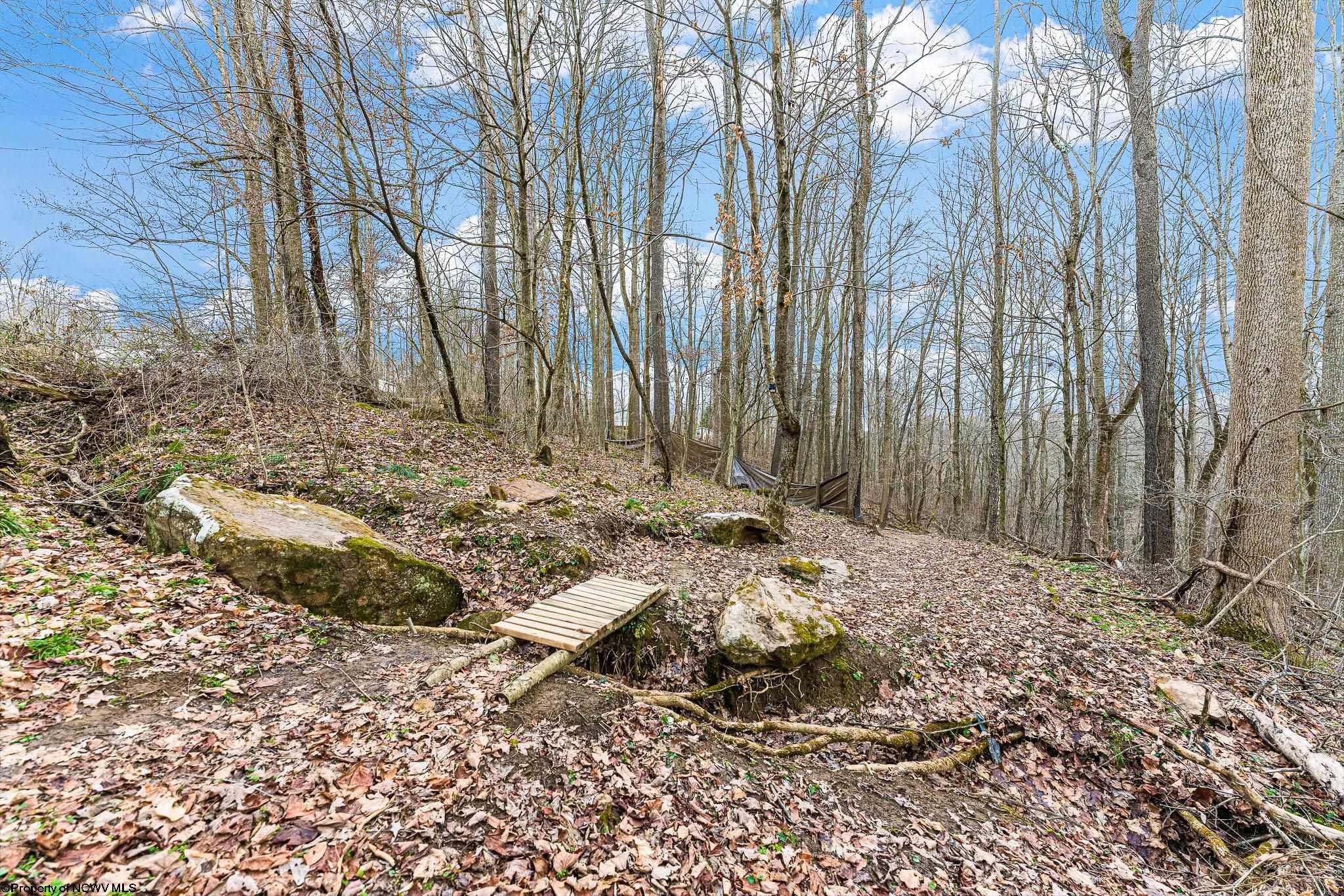 Albright, West Virginia 26519, United States, ,Land,Active,26721