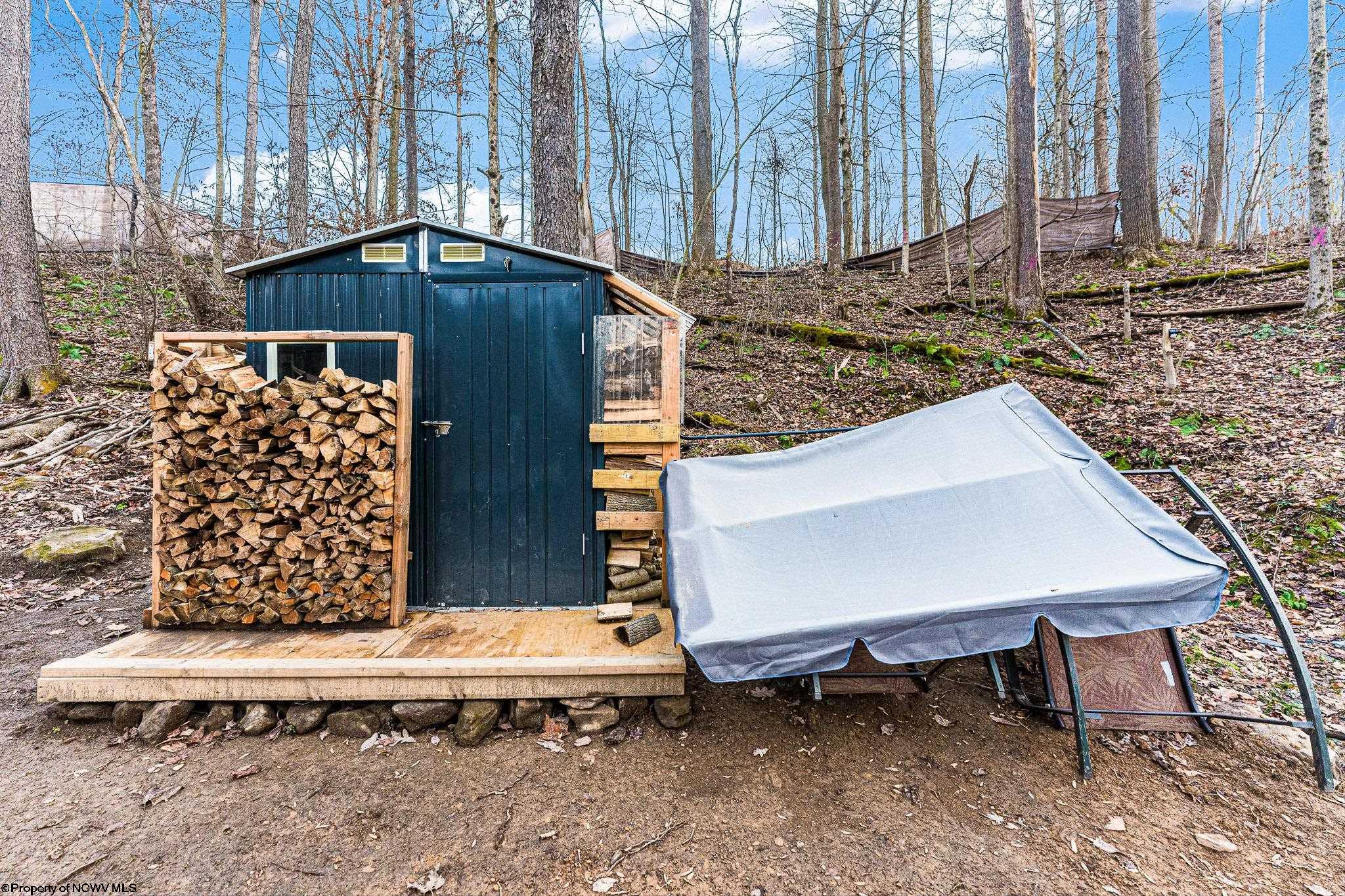 Albright, West Virginia 26519, United States, ,Land,Active,26721