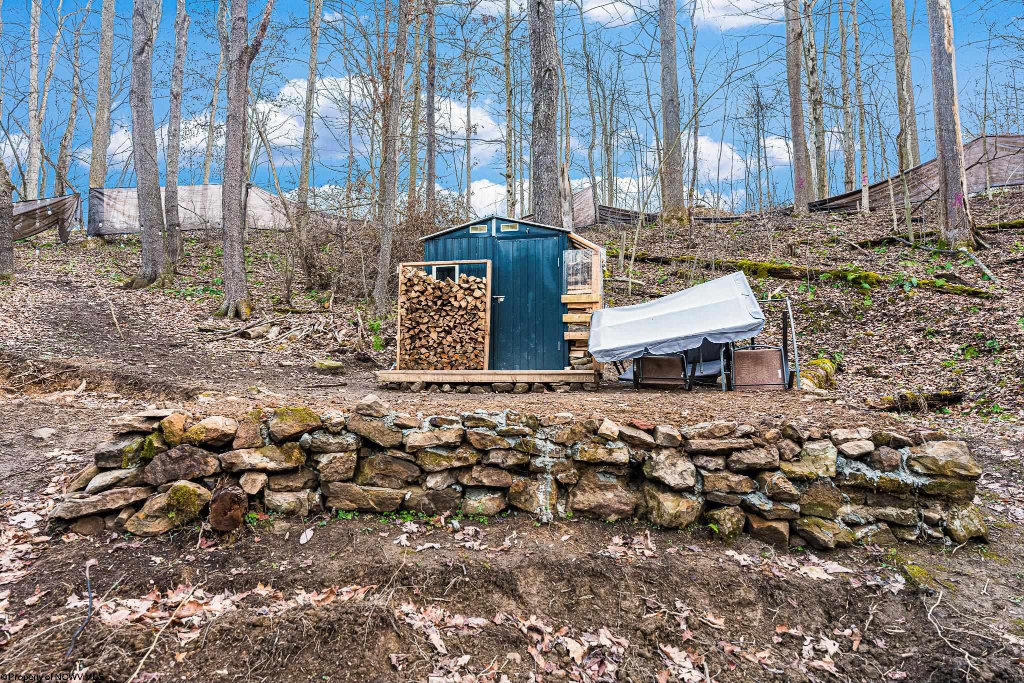 Albright, West Virginia 26519, United States, ,Land,Active,26721