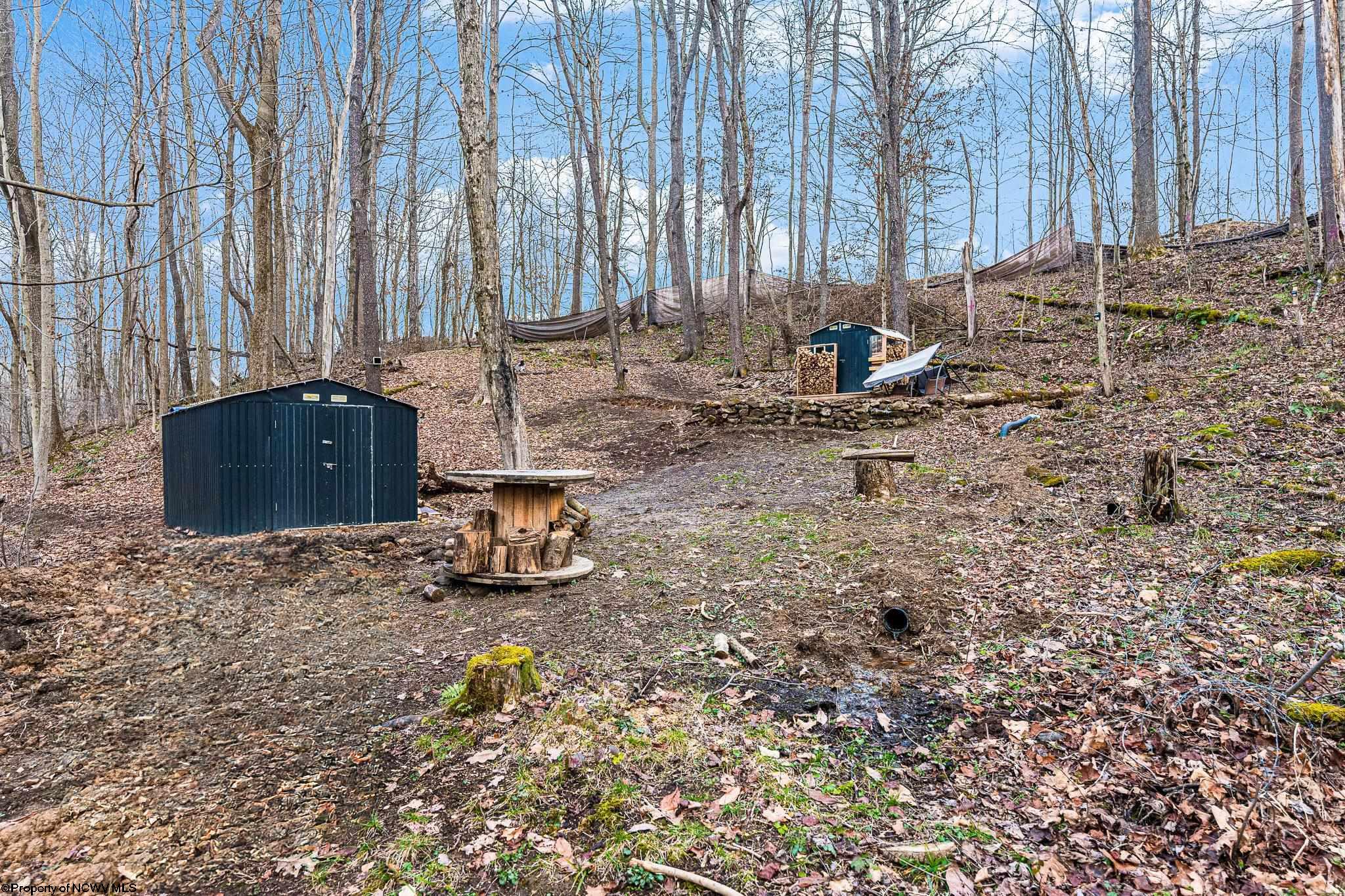 Albright, West Virginia 26519, United States, ,Land,Active,26721