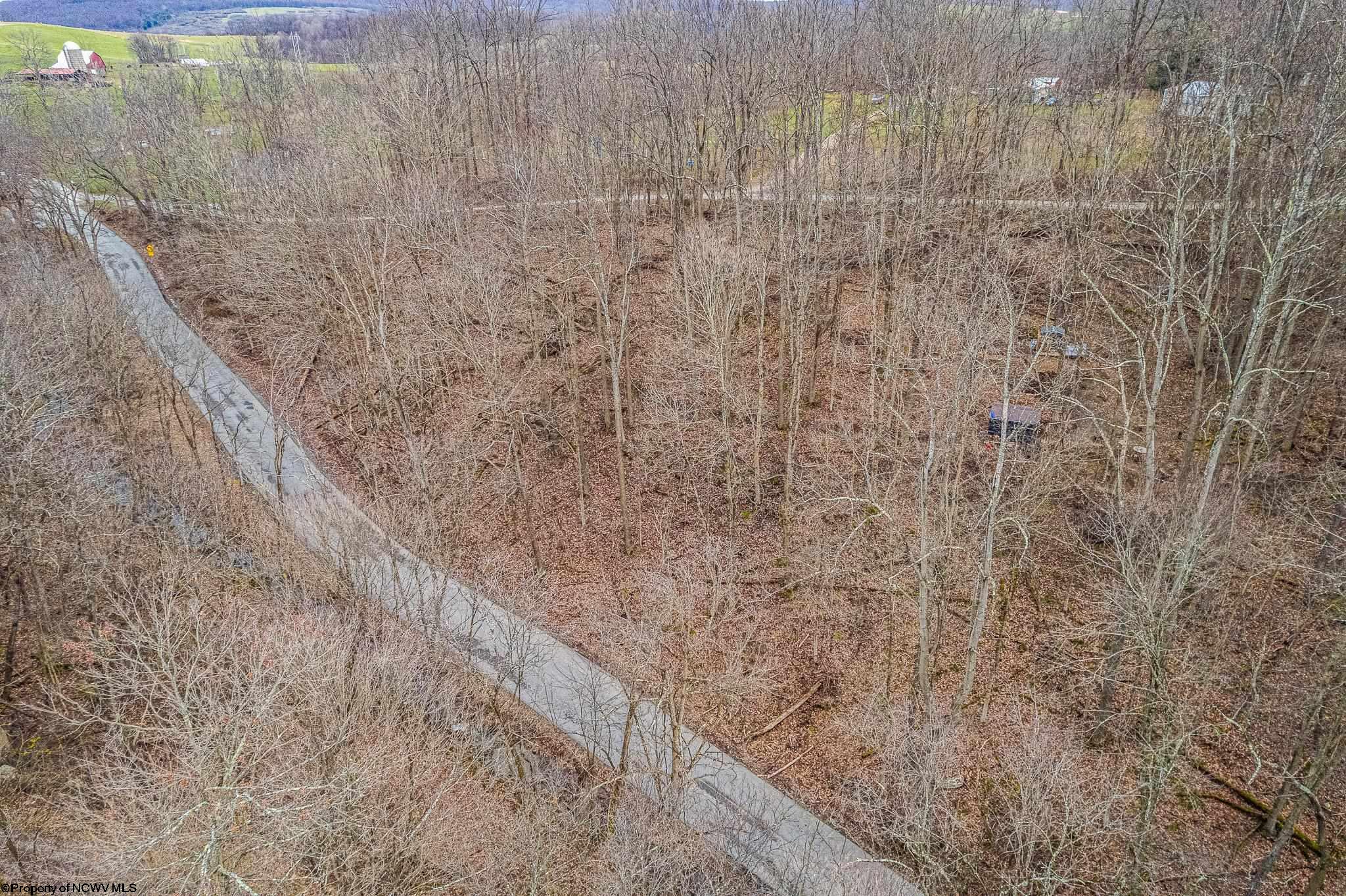 Albright, West Virginia 26519, United States, ,Land,Active,26721