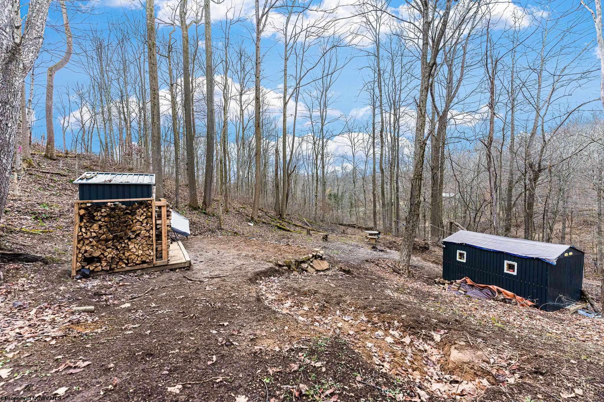 Albright, West Virginia 26519, United States, ,Land,Active,26721