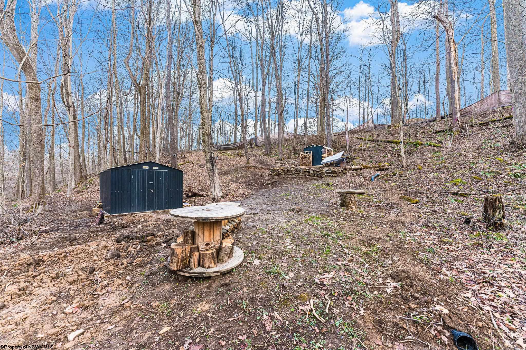 Albright, West Virginia 26519, United States, ,Land,Active,26721