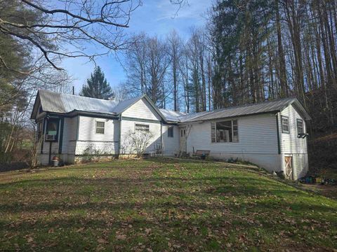 Photo of 238 Ivy Road, Buckhannon, WV 26201 (MLS # 10162728)