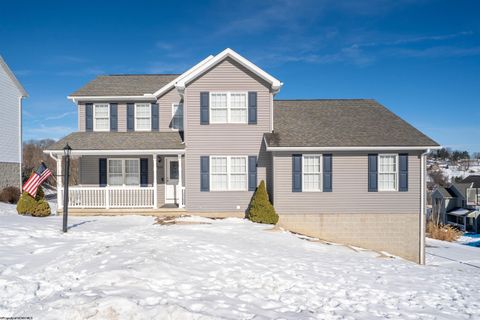 Photo of 233 Hanalei Drive, Morgantown, WV 26508 (MLS # 10163310)