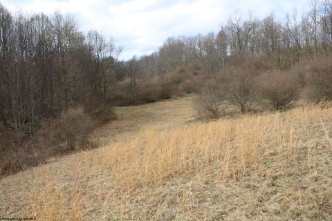Photo of Lot 8 Cascade Ridge, Masontown, WV 26542 (MLS # 10162413)
