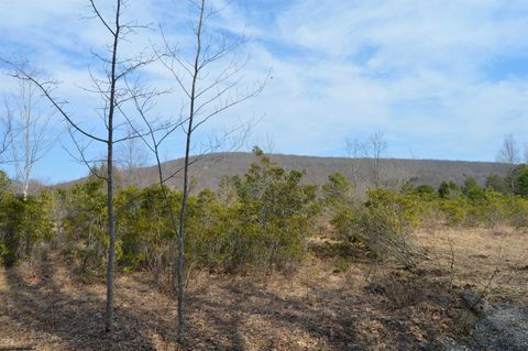 Photo of Lots 1 & 2 Grosbeak Drive, Terra Alta, WV 26764 (MLS # 10164480)