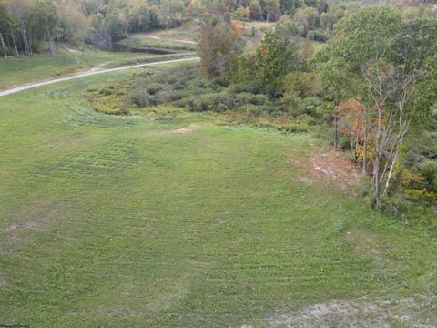 Photo of Lot 1 Island Run, Junior, WV 26275 (MLS # 10161970)